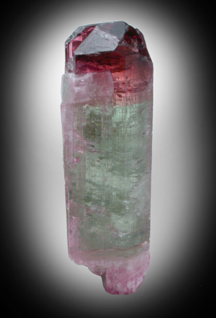 Elbaite Tourmaline from Minas Gerais, Brazil