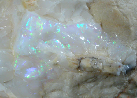 Opal from Virgin Valley, Humboldt County, Nevada