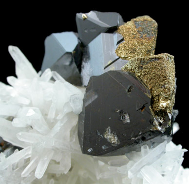 Chalcopyrite on Sphalerite with Quartz from Krushev Dol Mine, Davidkovo, Rhodope Mountains, Bulgaria