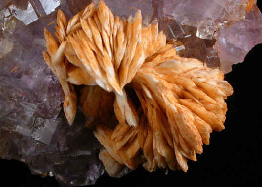 Fluorite with Barite from Caravia-Berbes District, Asturias, Spain