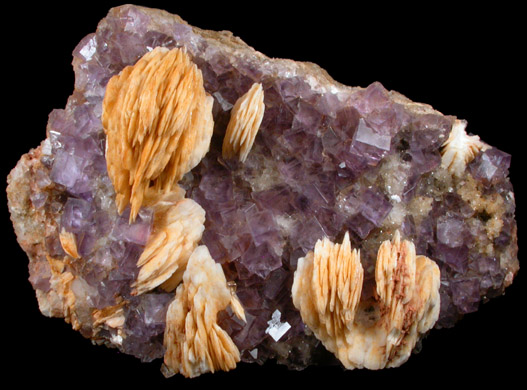 Fluorite with Barite from Caravia-Berbes District, Asturias, Spain