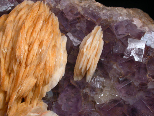 Fluorite with Barite from Caravia-Berbes District, Asturias, Spain