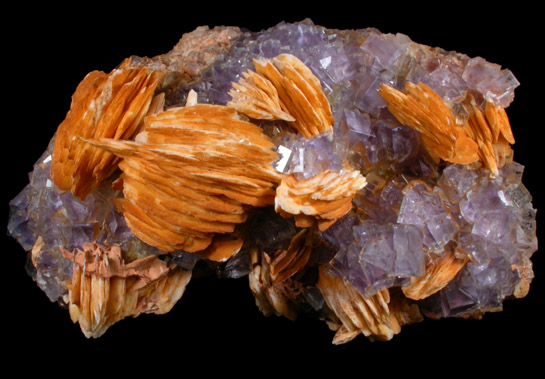 Fluorite with Barite from Caravia-Berbes District, Asturias, Spain