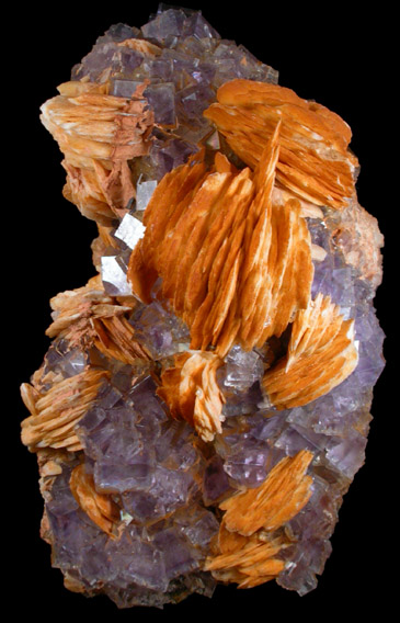 Fluorite with Barite from Caravia-Berbes District, Asturias, Spain