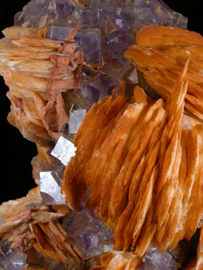 Fluorite with Barite from Caravia-Berbes District, Asturias, Spain