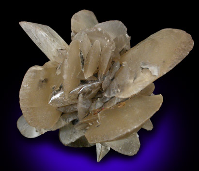 Gypsum var. Selenite from Coombar, New South Wales, Australia