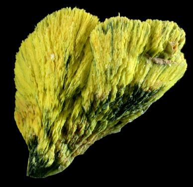 Meta-Autunite from Daybreak Mine, Spokane County, Washington