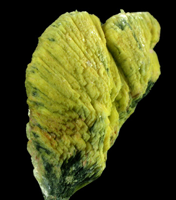 Meta-Autunite from Daybreak Mine, Spokane County, Washington