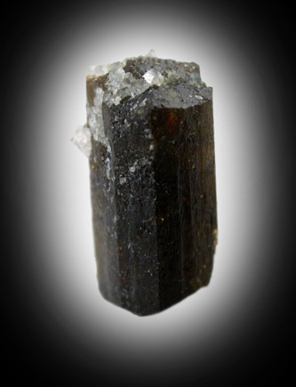 Dravite-Uvite Tourmaline from Inwood Hill, Manhattan Island, New York City, New York