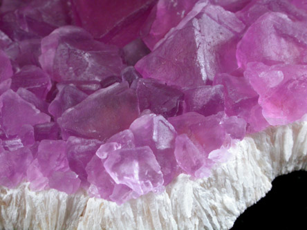 Fluorite from Mina Navidad, 19 km northwest of Abasolo, Durango, Mexico