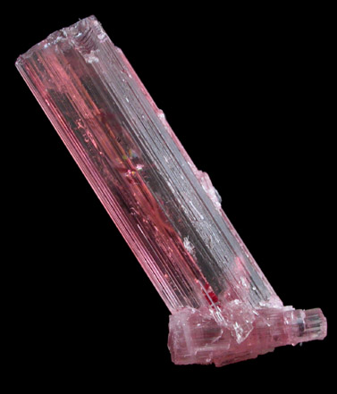 Elbaite var. Rubellite Tourmaline from Himalaya Mine, Mesa Grande District, San Diego County, California