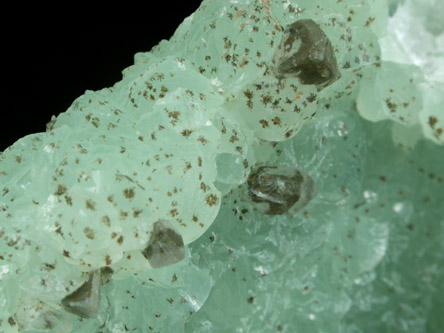 Prehnite, Calcite, Stilpnomelane from Roncari Quarry, East Granby, Hartford County, Connecticut