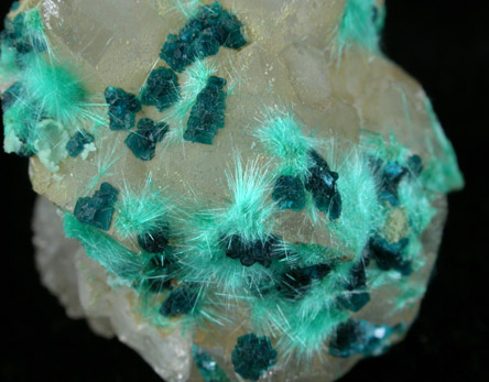 Spangolite, Brochantite, Quartz from Blanchard Mine, Hansonburg District, 8.5 km south of Bingham, Socorro County, New Mexico