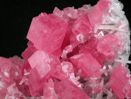 Rhodochrosite on Quartz from Hedgehog Pocket, Sweet Home Mine, Alma District, Park County, Colorado