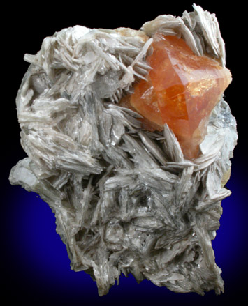 Scheelite on Muscovite from Xuebaoding District, Pingwu, Sichuan, China