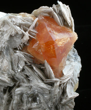 Scheelite on Muscovite from Xuebaoding District, Pingwu, Sichuan, China