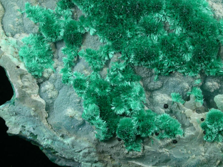 Malachite on Chrysocolla from Inspiration Mine, Globe-Miami District, Gila County, Arizona