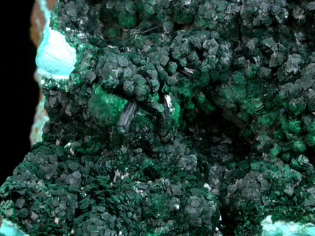 Malachite and Azurite on Chrysocolla from Mashamba West Mine, 13 km west of Kolwezi, Katanga Copperbelt, Lualaba Province, Democratic Republic of the Congo