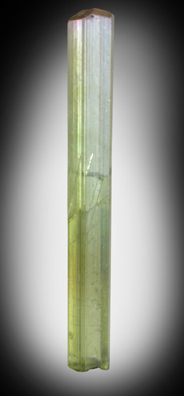 Elbaite Tourmaline from Paprok, Kamdesh District, Nuristan Province, Afghanistan