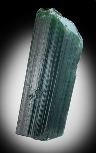 Elbaite var. Indicolite Tourmaline from Paprok, Kamdesh District, Nuristan Province, Afghanistan