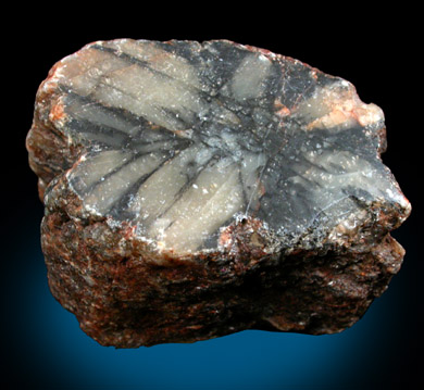 Andalusite var. Chiastolite from Spain