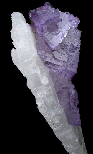 Fluorite on Celestine from Mina el Tule, Melchor Múzquiz, Coahuila, Mexico