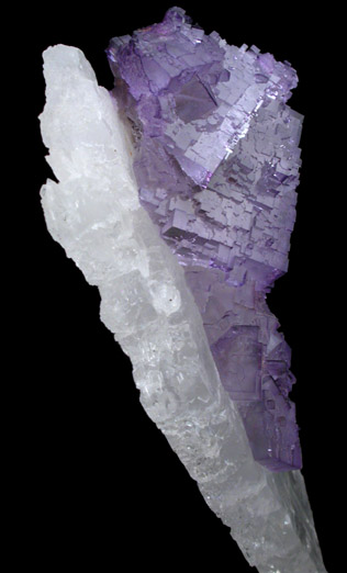 Fluorite on Celestine from Mina el Tule, Melchor Mzquiz, Coahuila, Mexico