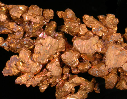 Copper (Spinel-law Twins) from Dzhezkazgan, Karaganda Oblast', Kazakhstan