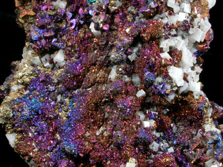 Chalcopyrite with Dolomite from Sweetwater Mine, Viburnum Trend, Reynolds County, Missouri