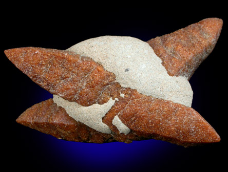 Calcite pseudomorphs after Ikaite from Bielo More, Kola Peninsula, Russia