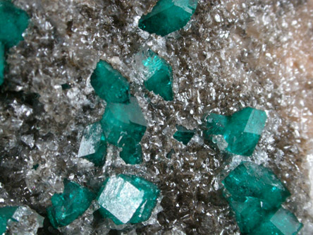 Dioptase from Altyn-Tyube, 66 km east of Karagandy, Karaganda Oblast', Kazakhstan (Type Locality for Dioptase)