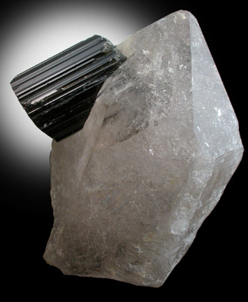 Schorl Tourmaline in Quartz from Minas Gerais, Brazil