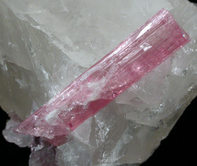 Elbaite var. Rubellite Tourmaline from Minas Gerais, Brazil