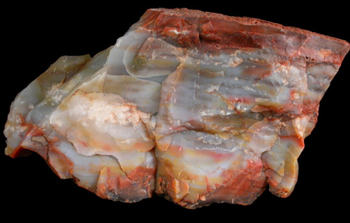 Quartz var. Petrified Wood from Holbrook, Navajo County, Arizona