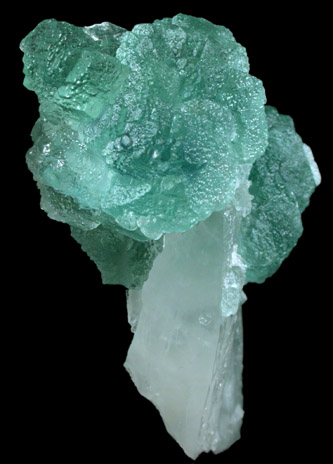 Fluorite on Quartz from Pasto Bueno District, Pallasca Province, Ancash Department, Peru