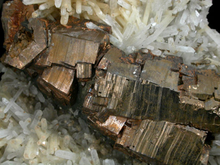 Pyrrhotite on Quartz from Nikolaevskiy Mine, Dalnegorsk, Primorskiy Kray, Russia
