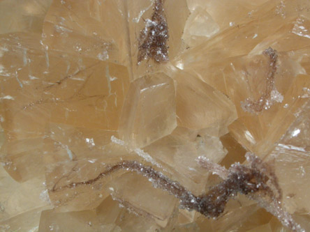 Calcite with Laffittite inclusions from Getchell Mine, Humboldt County, Nevada