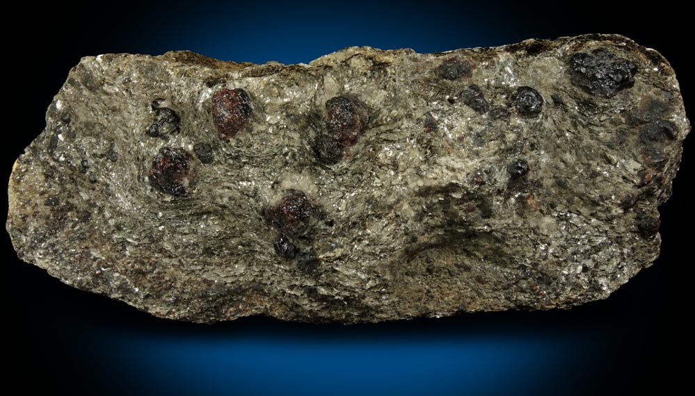 Almandine Garnet in schist from near the Spuyten Duyvil, northern Manhattan Island, New York City, New York County, New York