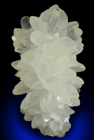 Calcite (stalactite) from Crystal River Quarry #2, Citrus County, Florida