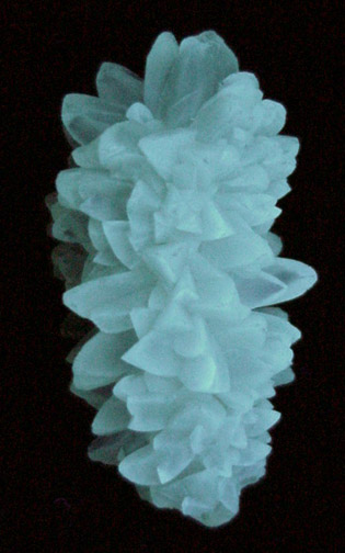 Calcite (stalactite) from Crystal River Quarry #2, Citrus County, Florida