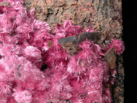 Erythrite from Mount Cobalt Mine, Mount Isa-Cloncurry District, Queensland, Australia