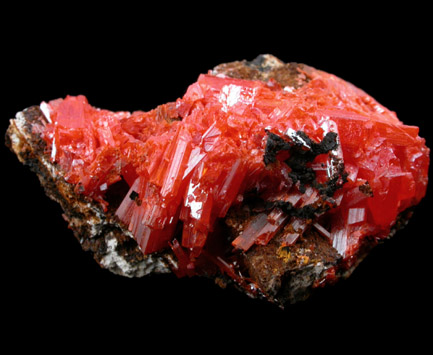 Crocoite from Dundas, Tasmania, Australia