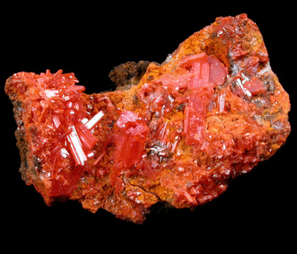 Crocoite from Dundas, Tasmania, Australia