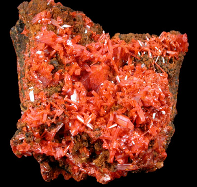 Crocoite from Dundas, Tasmania, Australia