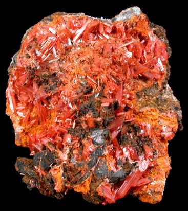 Crocoite from Dundas, Tasmania, Australia