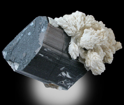 Schorl Tourmaline with Albite from Skardu, Baltistan, Gilgit-Baltistan, Pakistan