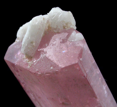 Elbaite Tourmaline with Albite from Malchanskoye (Malkhan) pegmatite field, Chitinskaya Oblast', Transbaikalia, Siberia, Russia