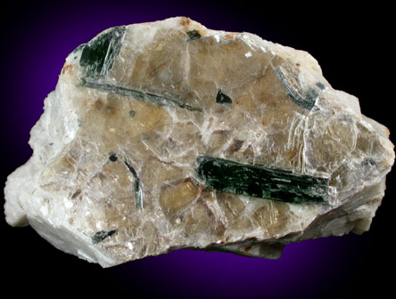 Elbaite Tourmaline in Muscovite from Strickland Quarry, Collins Hill, Portland, Middlesex County, Connecticut