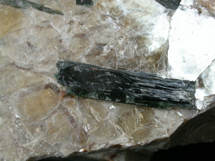 Elbaite Tourmaline in Muscovite from Strickland Quarry, Collins Hill, Portland, Middlesex County, Connecticut