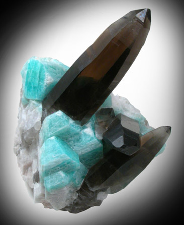 Quartz var. Smoky with Microcline var. Amazonite from Windy Pocket, Smoky Hawk Mine, Florisant, Teller County, Colorado